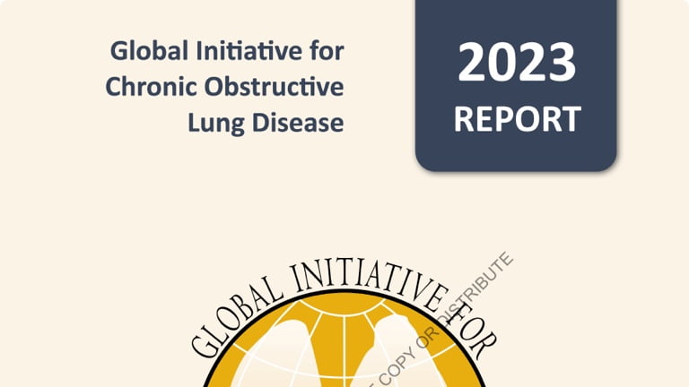 GOLD 2023 Guidelines 